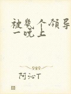 被几个领导玩弄一晚上