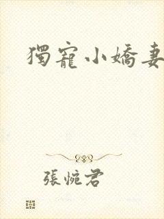 独宠小娇妻