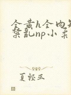 全黄h全肉短篇禁乱np小柔