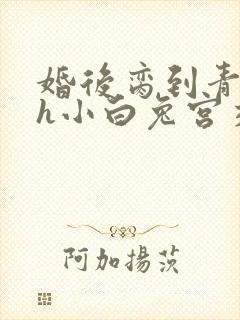 婚后脔到青梅哭h小白兔宫交h