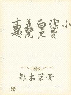 高义白洁小说笔趣阁免费