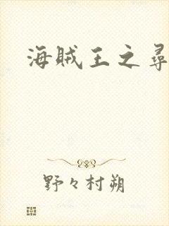 海贼王之寻亲记