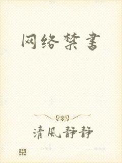 网络禁书