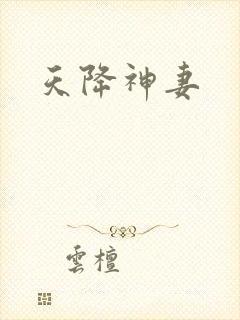 天降神妻