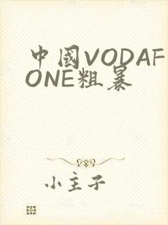 中国VODAFONE粗暴