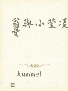 翁与小莹凌晨欢爱