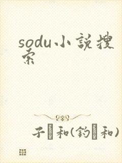 sodu小说搜索