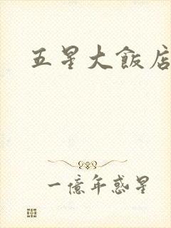 五星大饭店小说