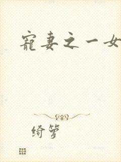 宠妻之一女二夫