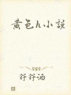 黄色h小说