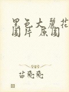 黑色大丽花真实图片 原图