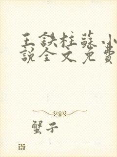 王铁柱苏小汐小说全文免费阅读最新章节