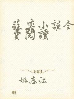 苏奕小说全文免费阅读