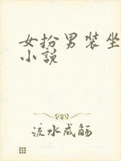 女扮男装坐江山小说