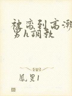 被脔到高潮的直男h调教