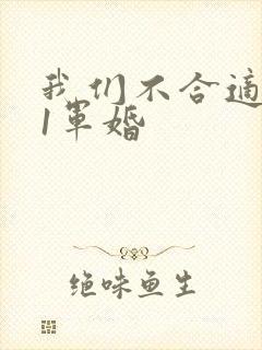 我们不合适1v1军婚