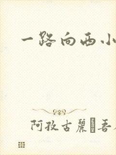 一路向西小说