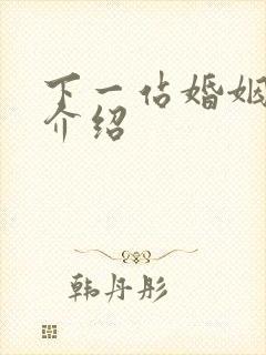 下一站婚姻剧情介绍