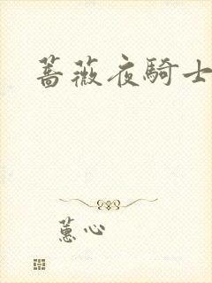 蔷薇夜骑士