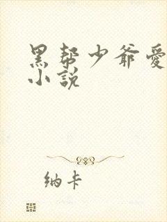 黑帮少爷爱上我小说