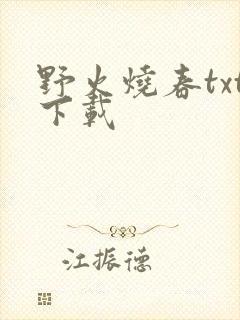 野火烧春txt下载