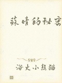 苏晴的秘密小说