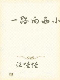 一路向西小说