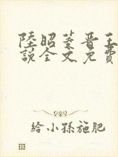 陆昭菱晋王的小说全文免费阅读