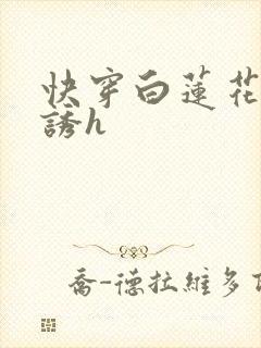 快穿白莲花的引诱h