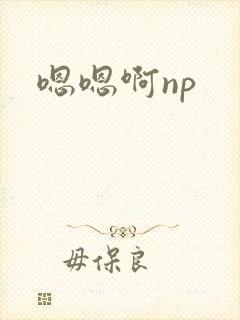 嗯嗯啊np