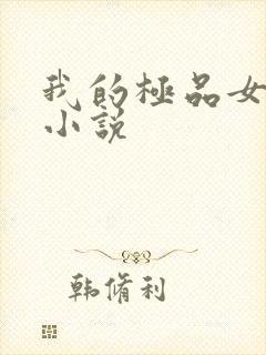 我的极品女老师小说