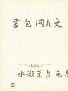 书包网h文
