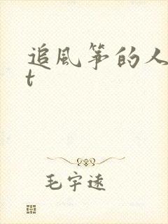 追风筝的人txt