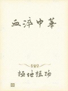 血淬中华