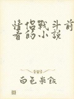 情侣战斗前适合看的小说