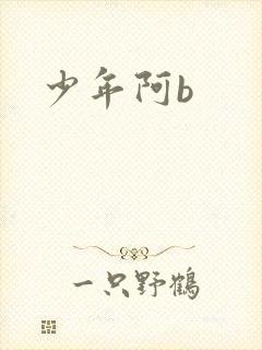 少年阿b