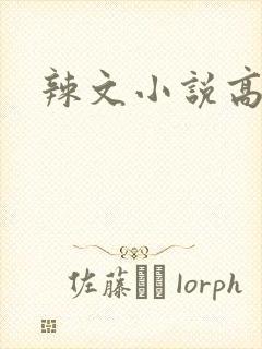 辣文小说高h