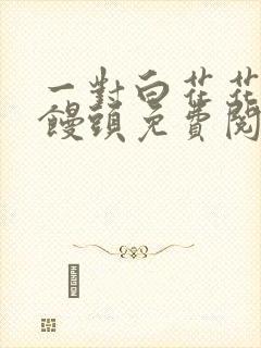 一对白花花的大馒头免费阅读