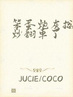 笨蛋炮灰总被爆炒翻车了