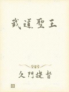 武道圣王