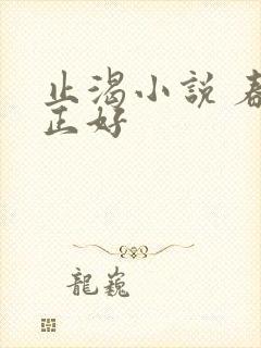 止渴小说 春光正好