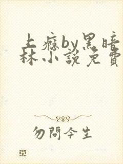 上瘾by黑暗森林小说免费