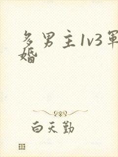 多男主1v3军婚