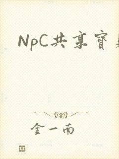 NpC共享宝贝