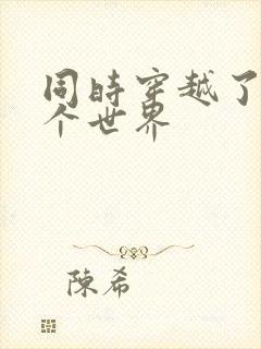 同时穿越了99个世界