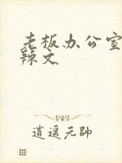 老板办公室系列辣文