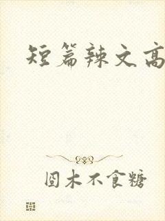 短篇辣文高h
