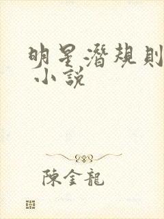 明星潜规则之皇 小说