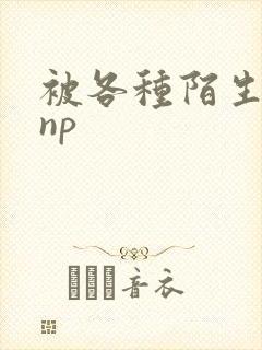 被各种陌生人 np