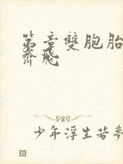 第章双胞胎姐妹齐飞